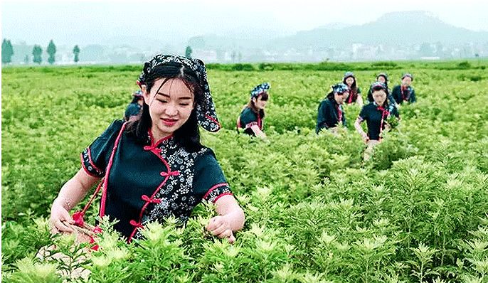 艾灸哪个穴位祛湿效果最好,艾灸贴肚脐祛湿有效果吗