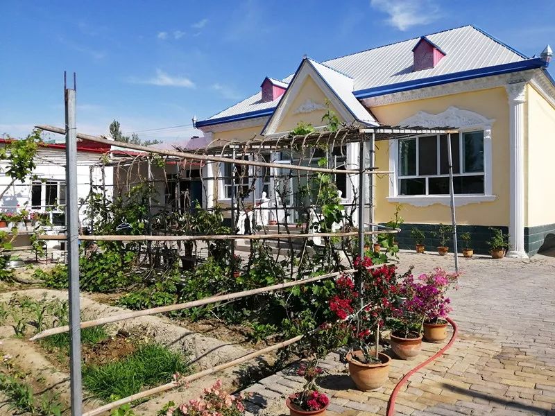 伊犁市便宜又好看的民宿,伊犁值得去的民宿