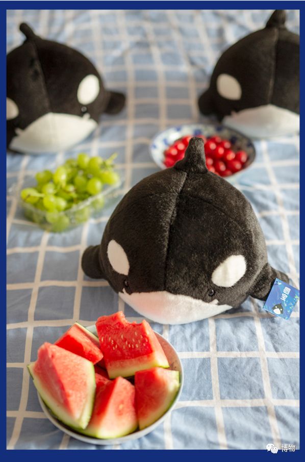 “圆宝”那么可爱，怎么能不盘它呢！