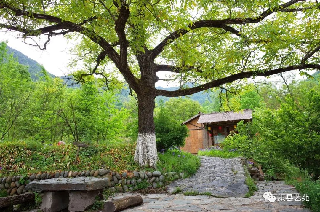 陕西一个作家最多的地方,陕西安康的出名作家