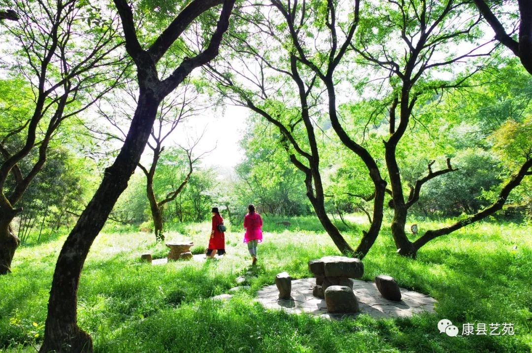 陕西一个作家最多的地方,陕西安康的出名作家