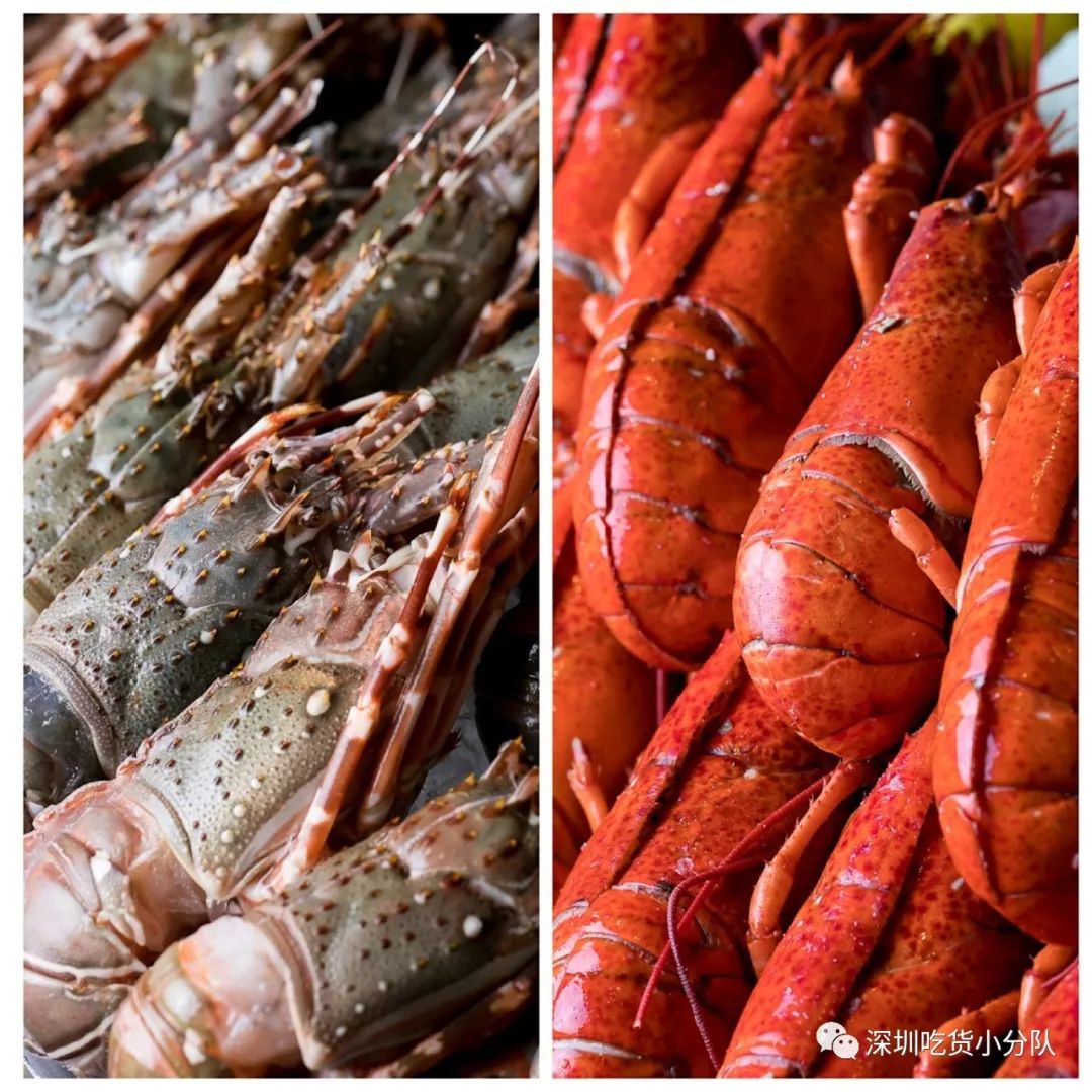 香格里拉398元4人团购深圳套餐,深圳香格里拉自助双人特惠199