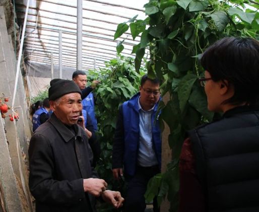 绿野杀菌剂,绿野农安