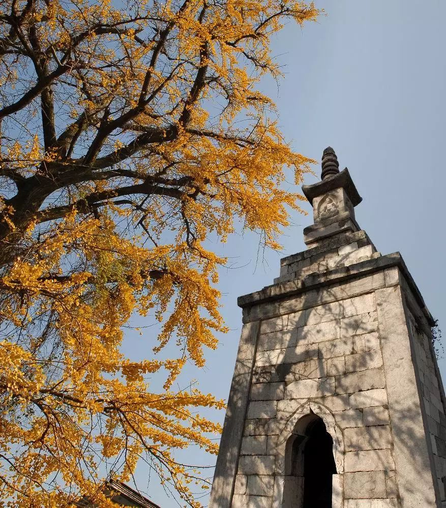 请回答2017,请回答2020总结