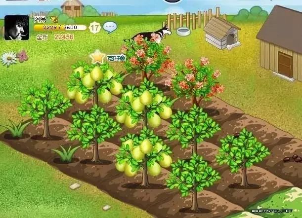 QQ今年20岁了，还记得上次打开它是什么时候吗？