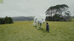 各种沙雕的网友是我的快乐源泉,沙雕是网友快乐的源泉