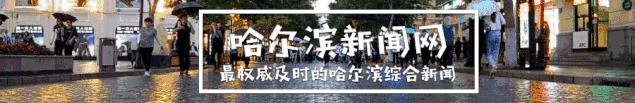 今起，乘省内高铁没有纸质车票了｜哈铁管内37座高铁站推行电子客票，乘客将使用身份证或12306二维码乘车