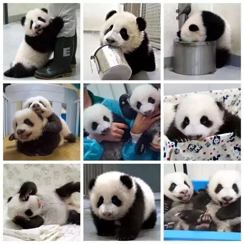 集美最适合去的地方,集美值得去的地方