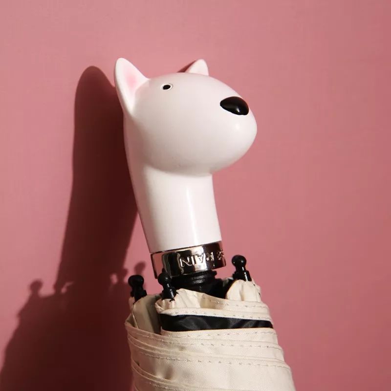 不惧台风的雨伞,无惧风雨的摩托车雨衣