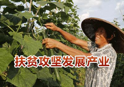 在县城上班小孩可以在市区读书,贵州新田煤矿上班孩子可以上学吗