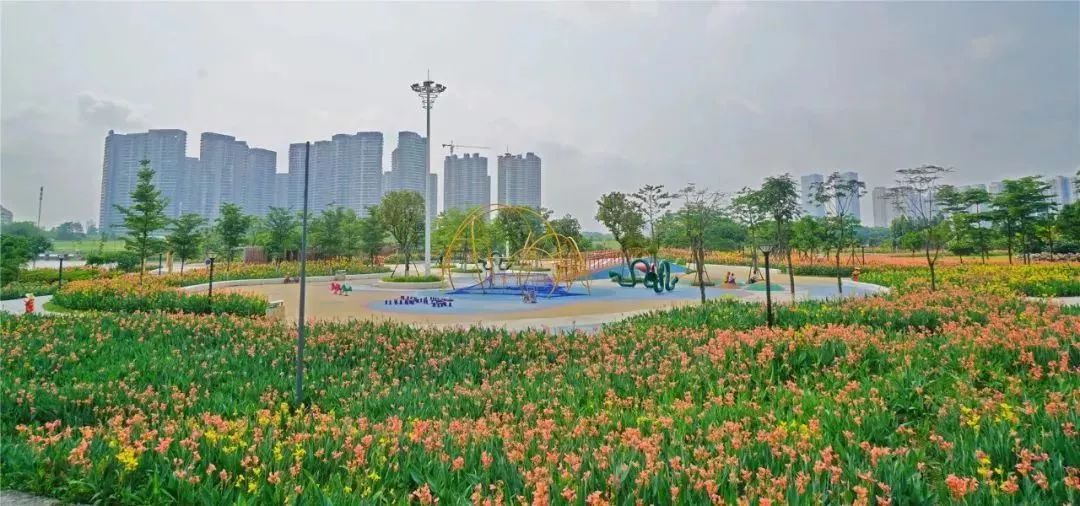 再见！佛山新港6月底停止运营