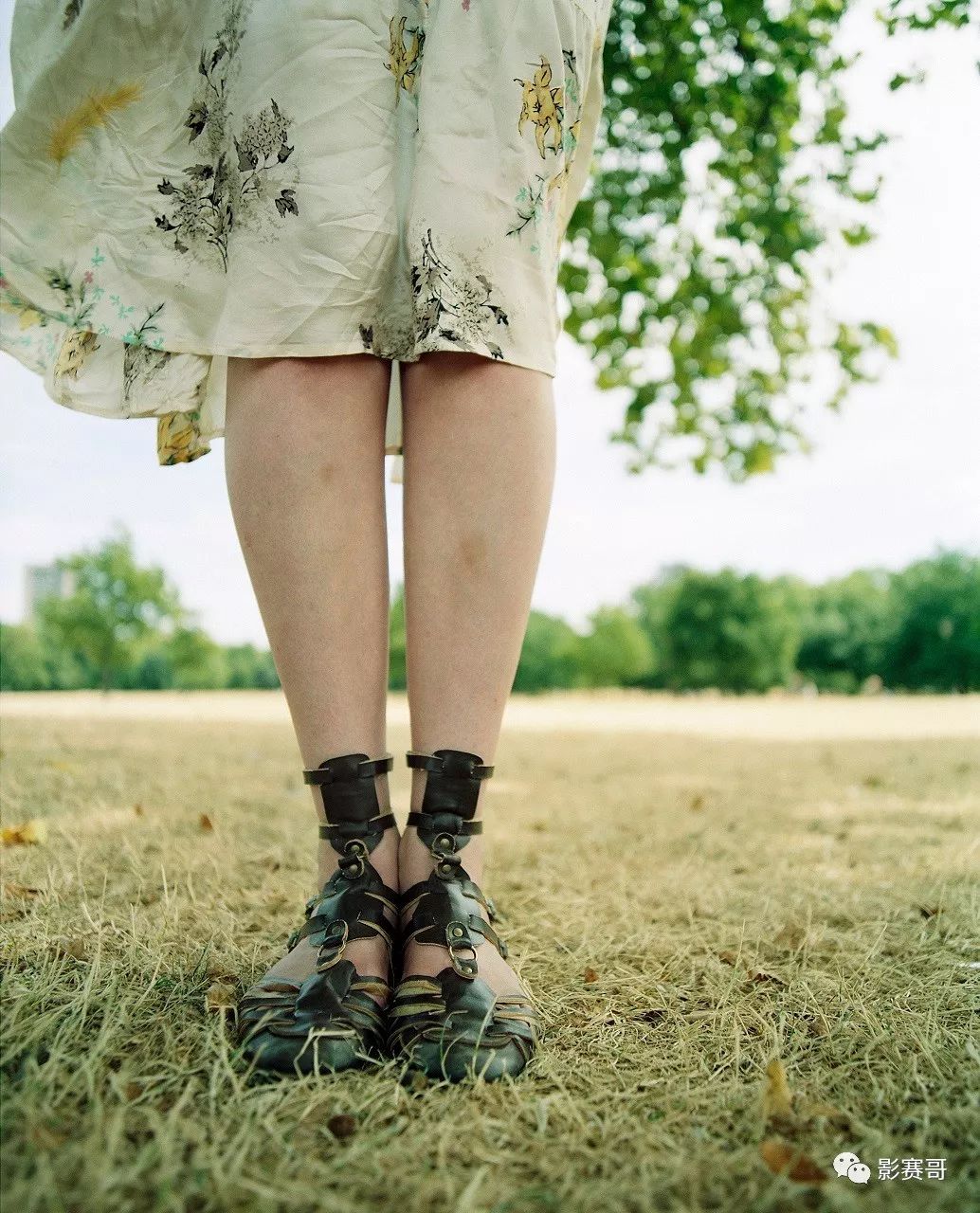 梵高文森特作品大全,文森特梵高的全部作品及介绍