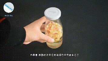 苹果烂了别扔越乱越值钱,苹果烂了千万别扔掉有妙招