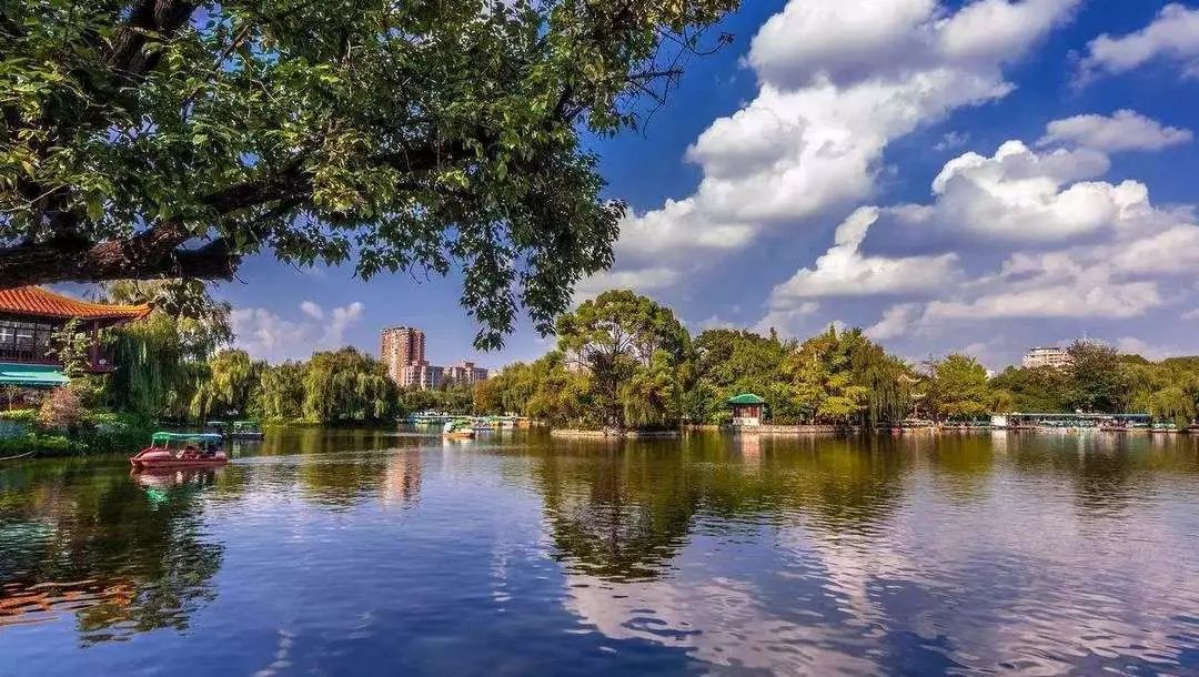 城味|翠湖：蕴含文化的“眼睛”更灵动