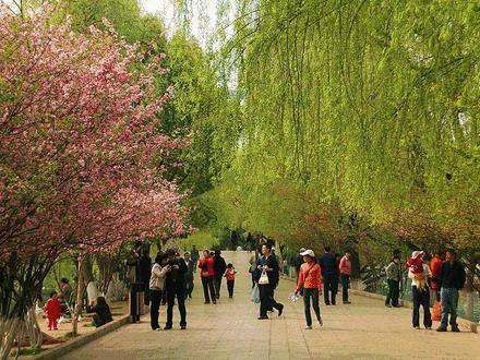 城味|翠湖：蕴含文化的“眼睛”更灵动