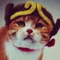 网购越南土特产|炼奶冰咖法包猪肝酱扎肉春卷虾片，一个下午茶全都拥有