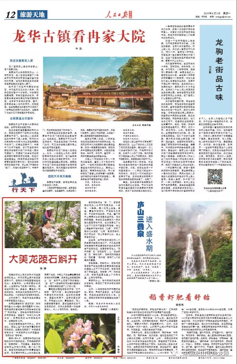 人民日报龙陵新闻,云南龙陵石斛新闻