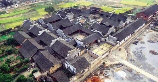 周家大院牡丹,周家大院深谷幽兰