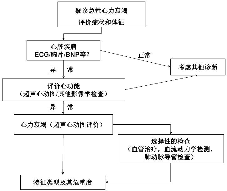 急性心衰的识别与处理,2021esc急慢性心衰诊治指南发布