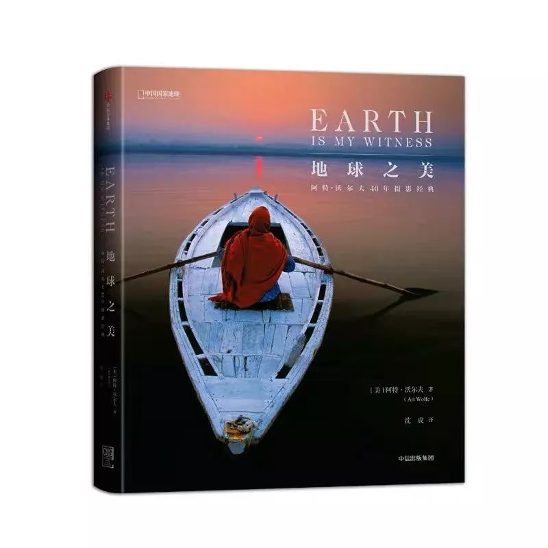 遇到野牛该如何保护自己,遇到美洲野牛怎么办