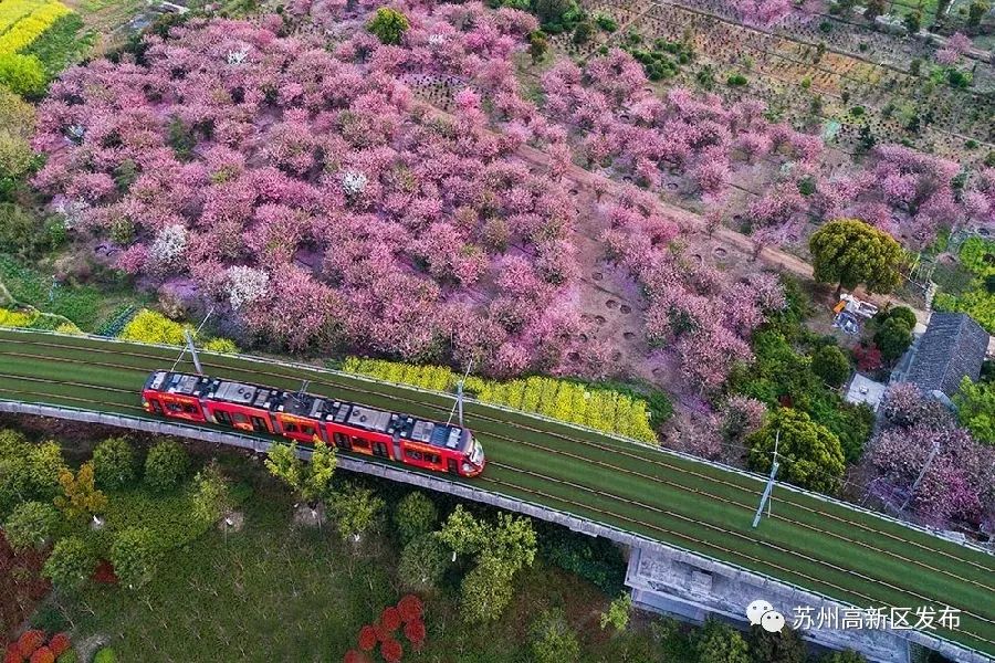第一次去成都高新区,高新第一批申报时间
