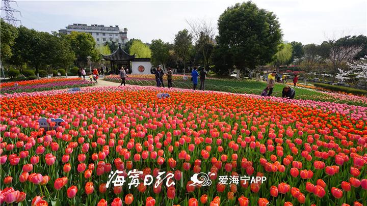 海宁漂亮吗,海宁好看的风景