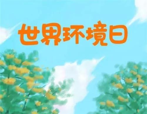 10个生态环境违法典型案例公布,法院发布环境保护典型案例