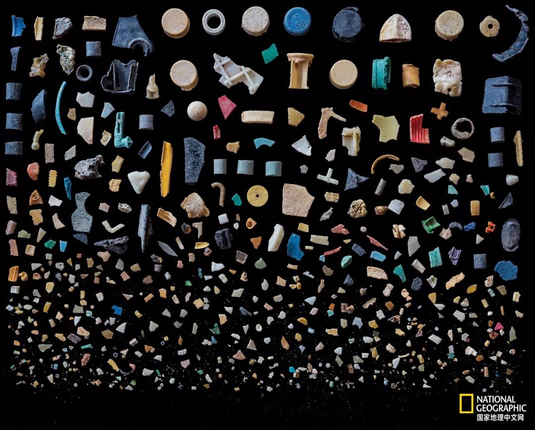 最奇葩的冰棍,吃最脏的冰棍