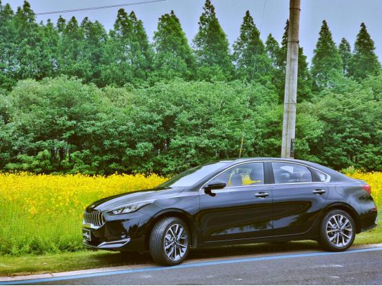 试驾全新起亚k31.5,试驾起亚2023款k3尊贵版