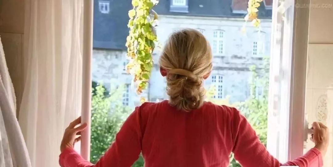 装修房子吸甲醛最好的是什么植物,吸甲醛最好的植物哪种排名第一