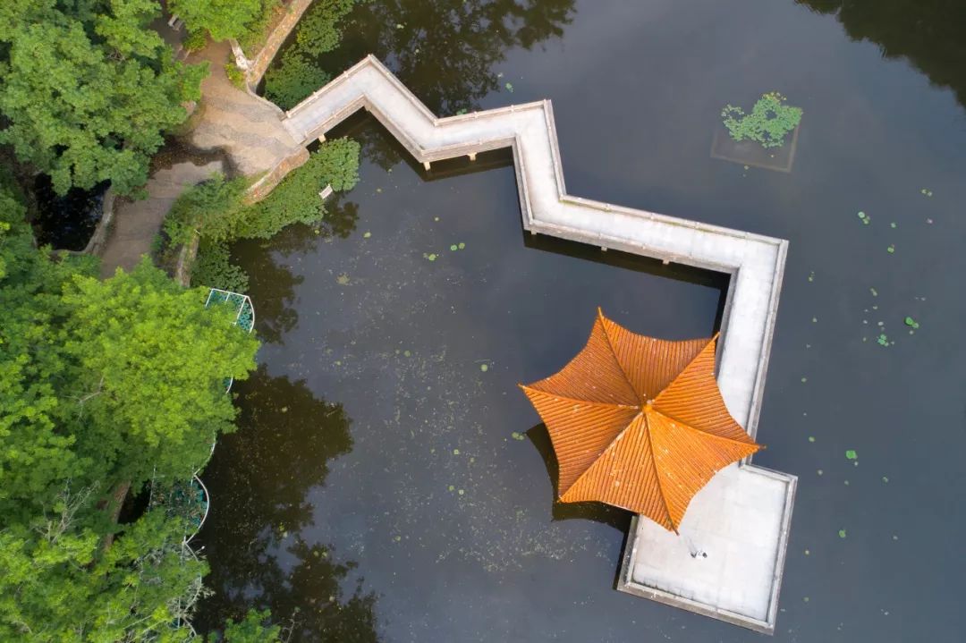 高考在即收下这份考试锦囊,献给高考后学子们的大学攻略