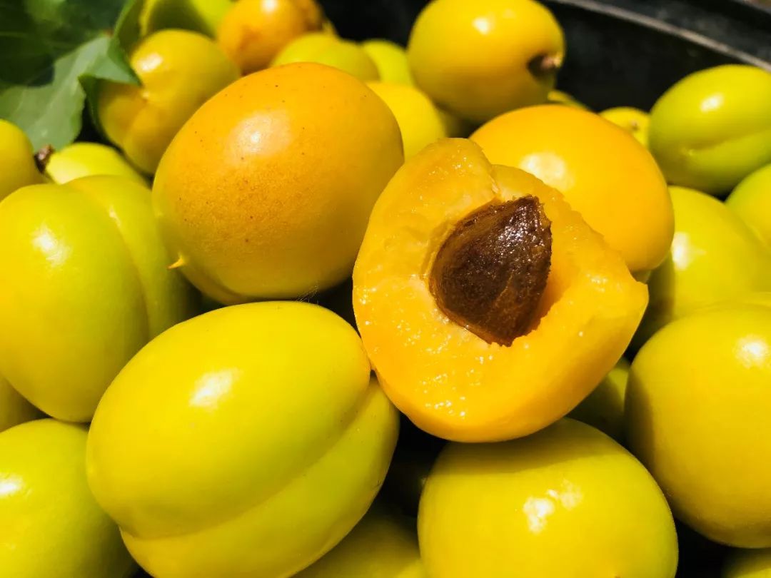 果期仅15天，*安泰**半野生珍珠杏！一口咬下满满桂花香，从牙齿蜜甜到腰！|吃货精选