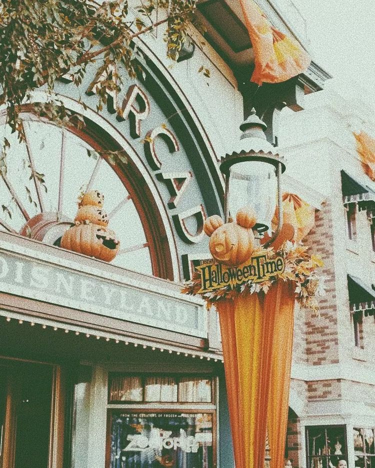 为了迪士尼，我决定搬回东京了