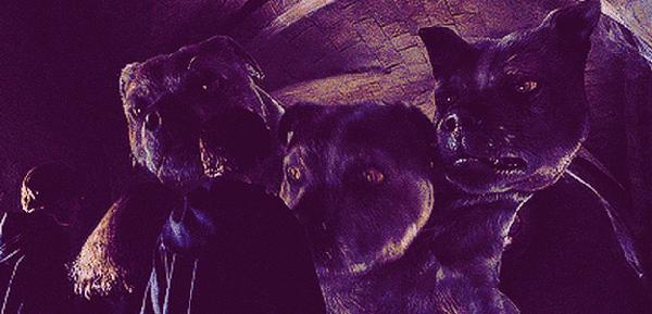 哈利波特游戏ip,哈利波特ip为何值钱