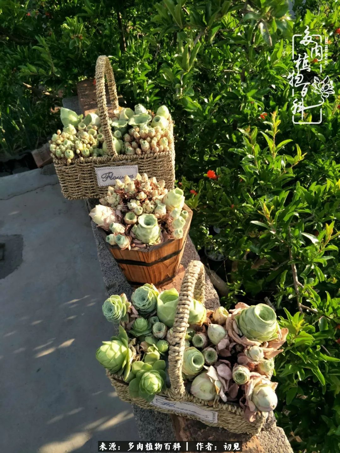 紧张的高三生活也需要适度的放松,紧张焦虑高考