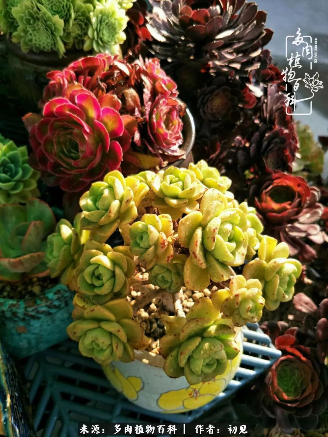 紧张的高三生活也需要适度的放松,紧张焦虑高考