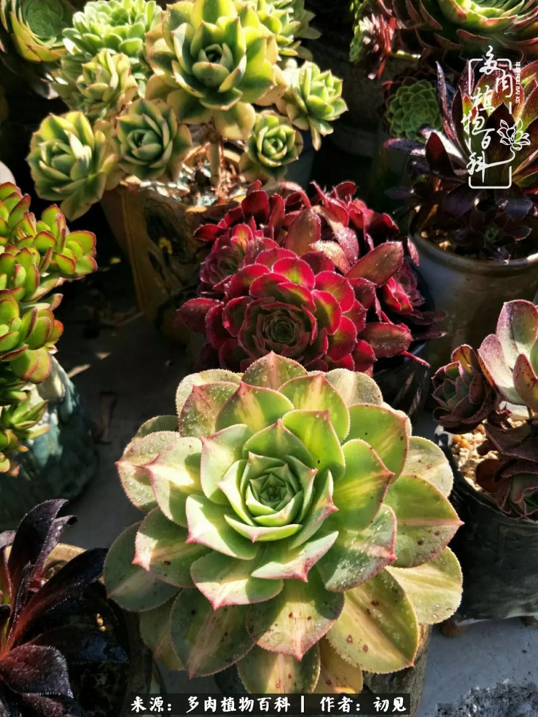 紧张的高三生活也需要适度的放松,紧张焦虑高考