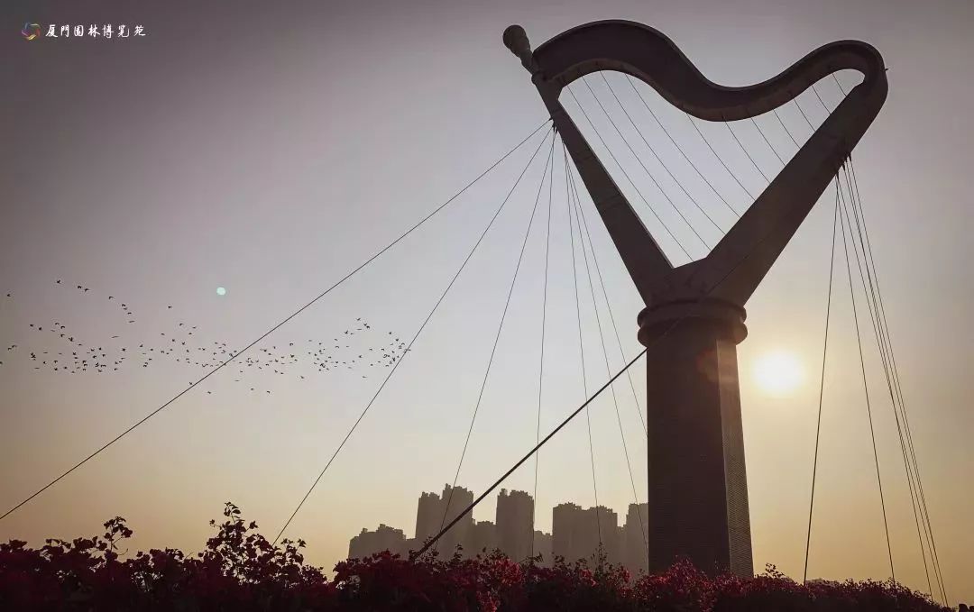 厦门适合带孩子去玩的地方推荐,厦门6月份哪里好玩