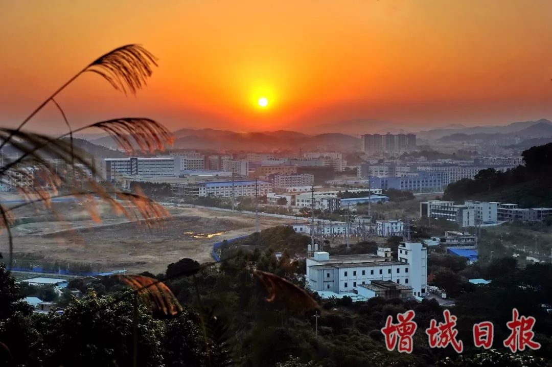 60张照片回忆成长,60多张老照片的回忆