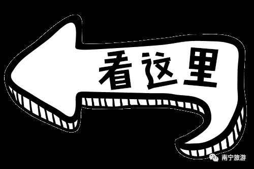 狮山公园春游,南宁狮山公园观竹赏荷