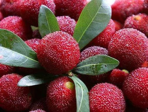 这几种水果再贵也要舍得买来吃,8种营养价格高的水果