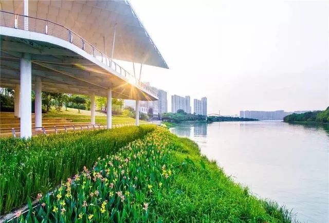 东平水道将开通游船线路！陈村的这些景点，你一定要来看看~