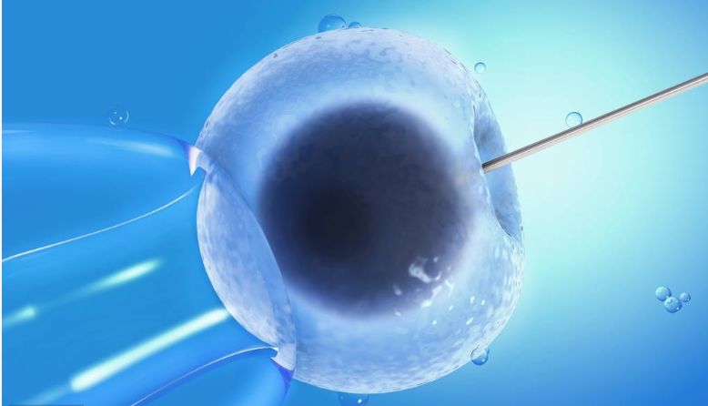 林志玲冻卵了吗,46岁林志玲自曝积极备孕