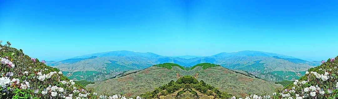 凉山彝族自治州索玛花开,索玛花开脱贫