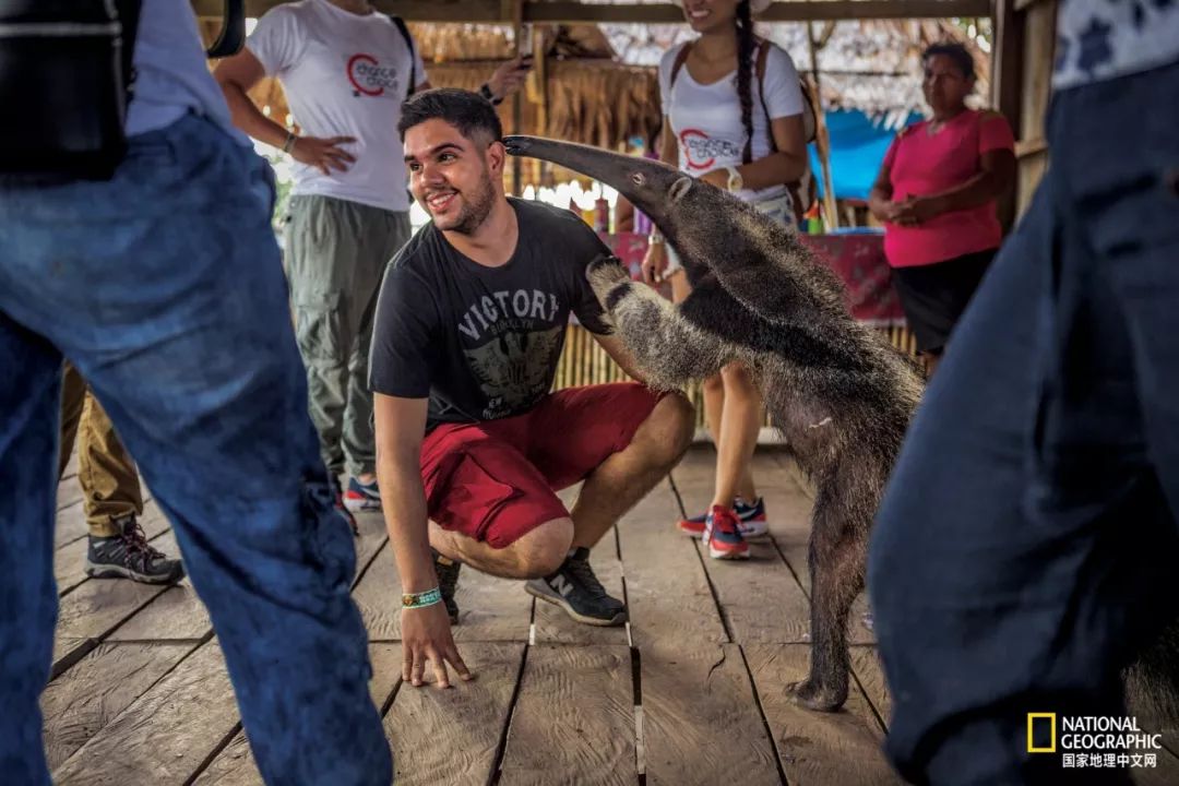 濒临灭绝的野生动物表演,动物表演的背后有多残忍