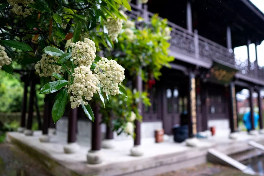 毕业了旅行去哪里,毕业旅行地方