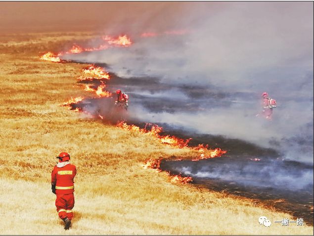 人民日报最经典的照片,人民日报年度好照片