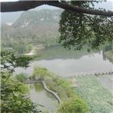 维维股份股吧东方财富网,维维股份股吧怎么样