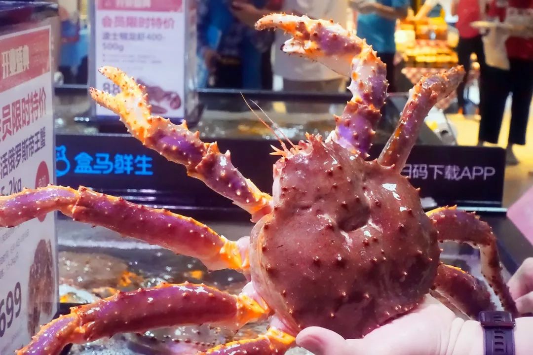 广州帝王蟹去哪买,番禺帝王蟹