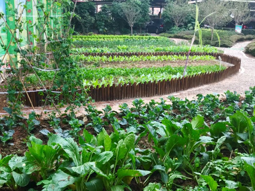 珍贵老照片1996,佛山珍贵老照片视频